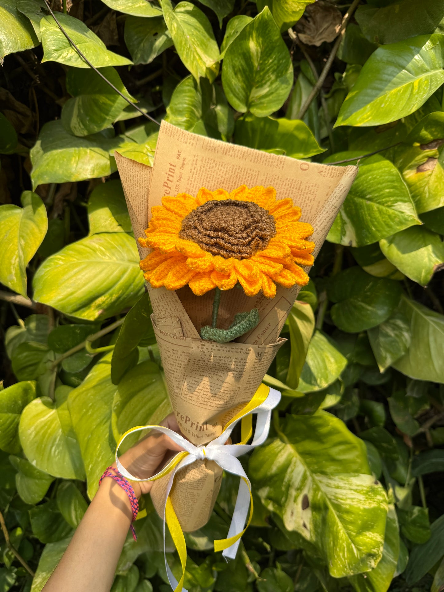 Large Sunflower