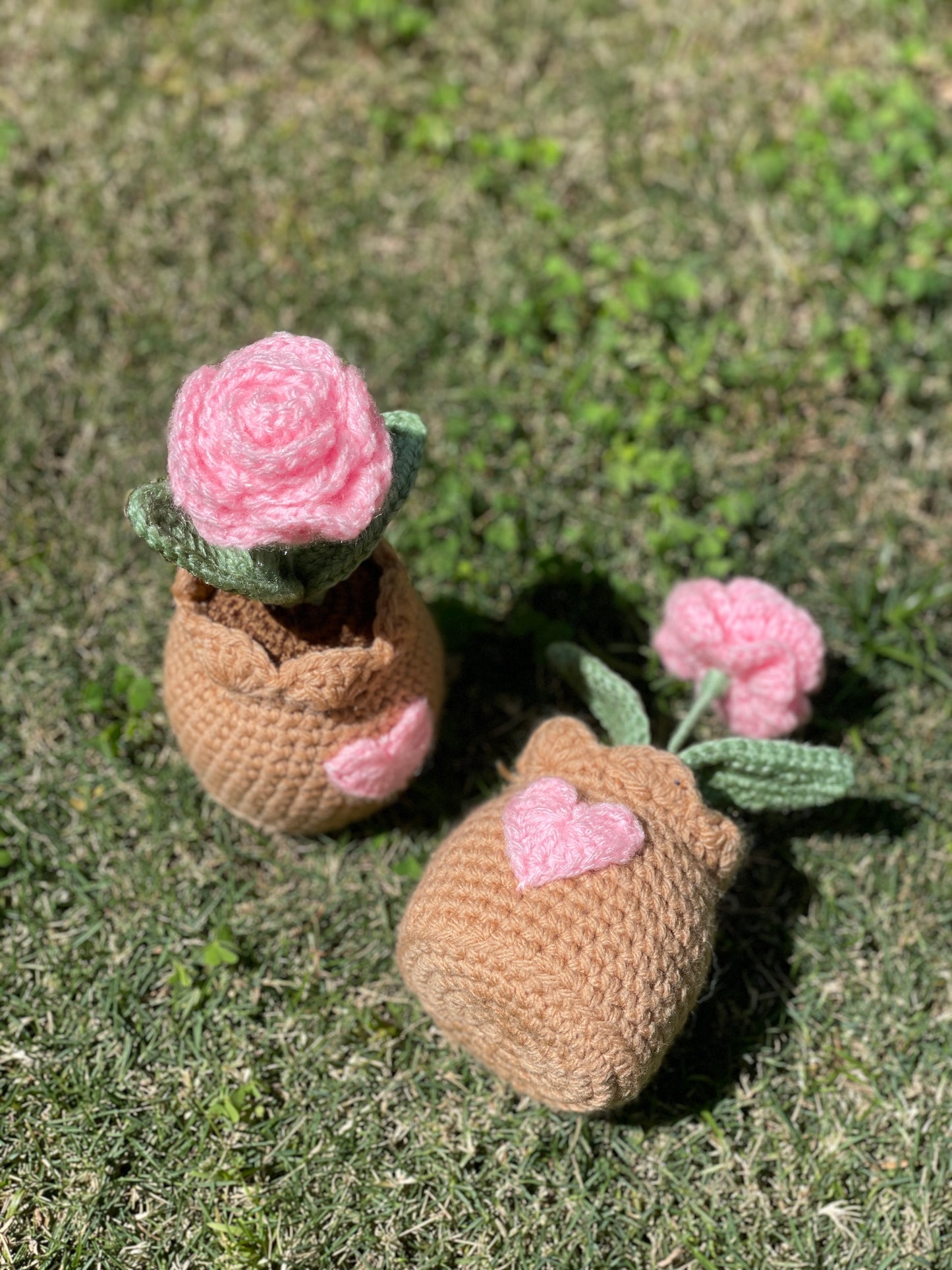 Flower Pots
