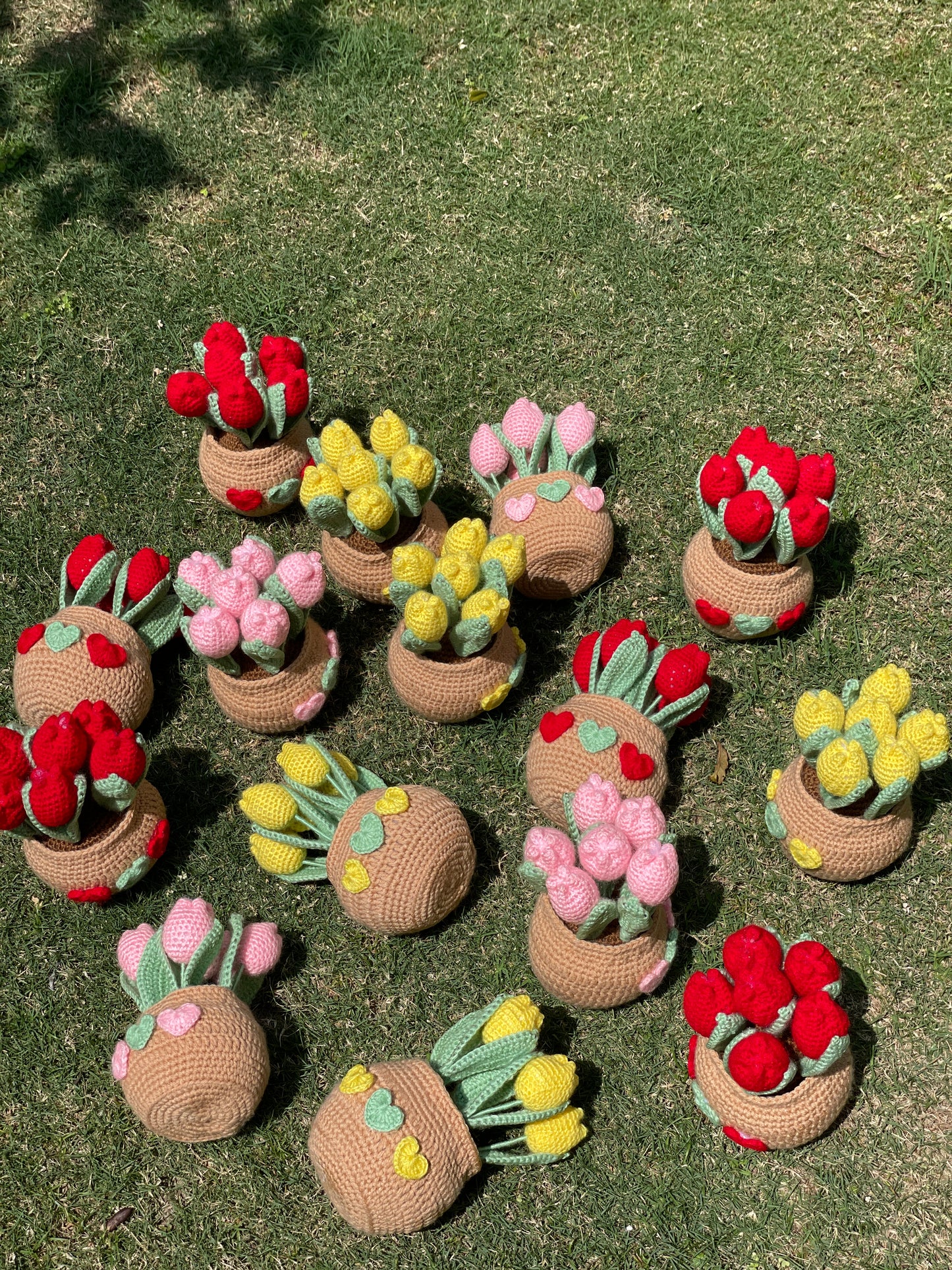 Tulip Pot