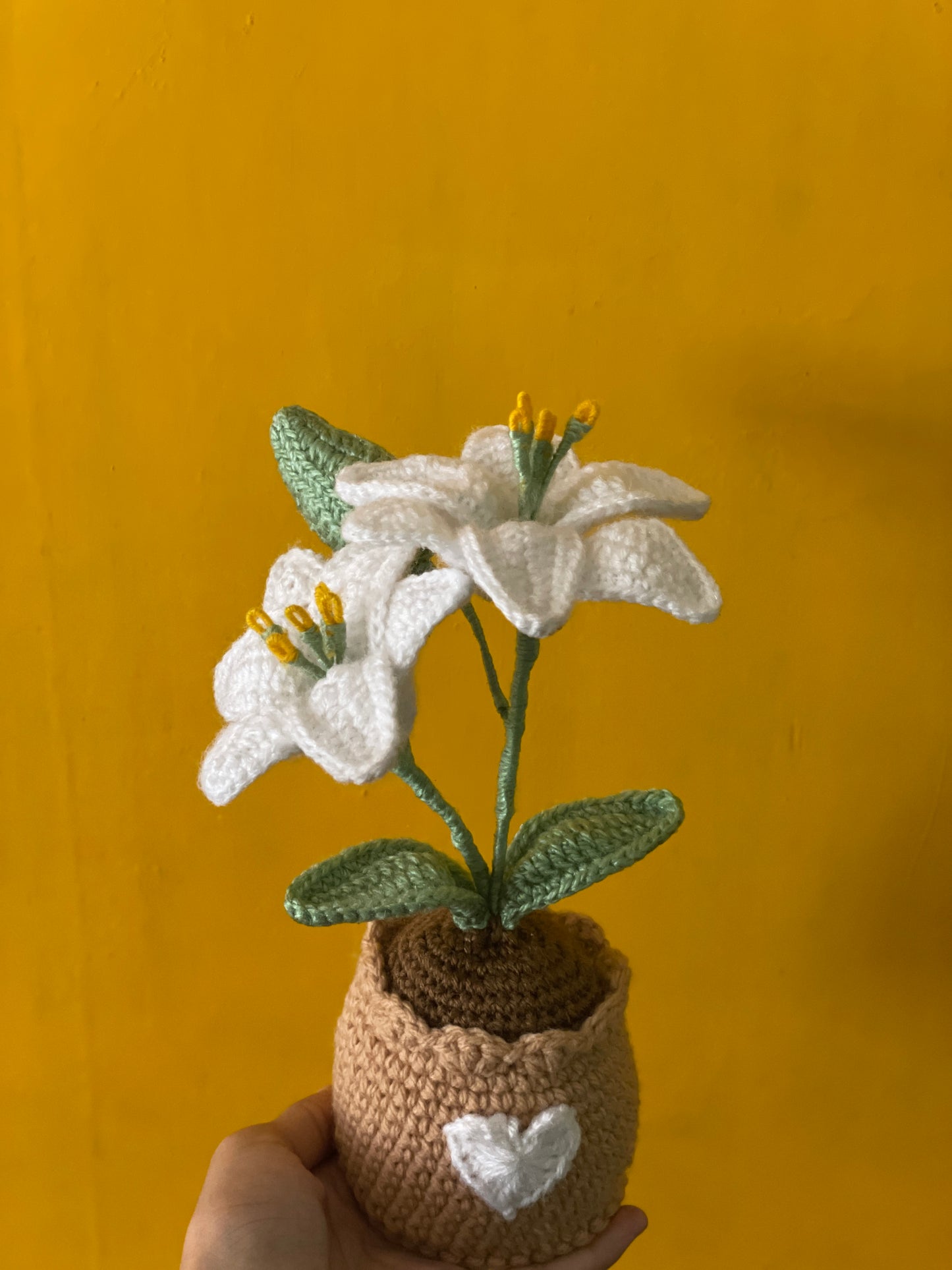 Double Lily Pot
