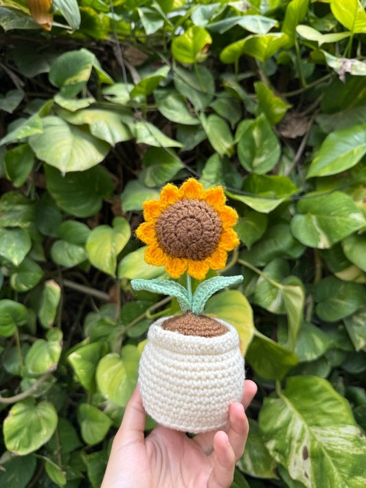 Sunflower Pot
