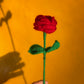 Make your own flower Bouquet