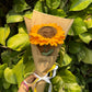 Large Sunflower
