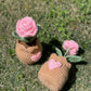 Flower Pots