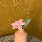 Ceramic Flower Pots