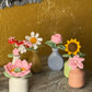 Ceramic Flower Pots