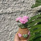 Rose pot