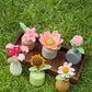 Ceramic Flower Pots