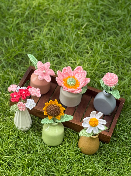 Ceramic Flower Pots