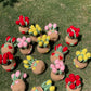 Tulip Pot