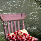 Rose Bouquet Blanket (Red&Pink)