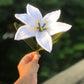 Make your own flower Bouquet