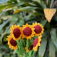 Make your own flower Bouquet