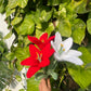 Make your own flower Bouquet