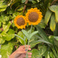 Make your own flower Bouquet
