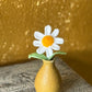 Ceramic Flower Pots