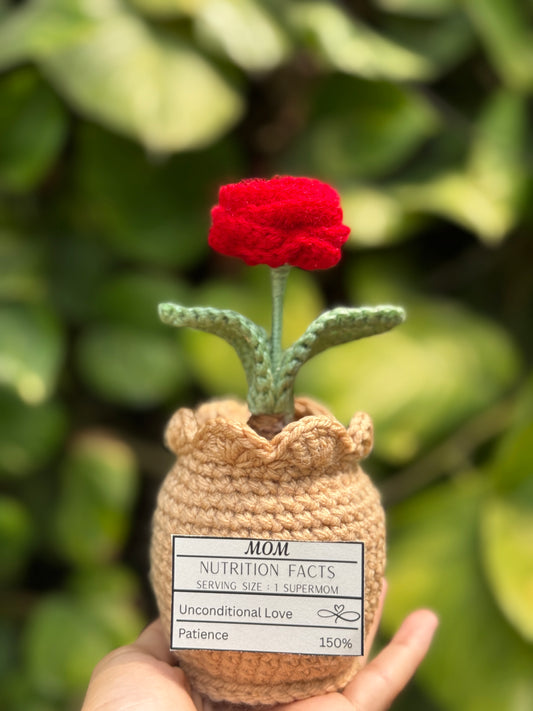 Mother's Flower Pot